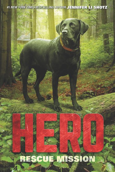 Hero: Rescue Mission (Hero, 3) cover