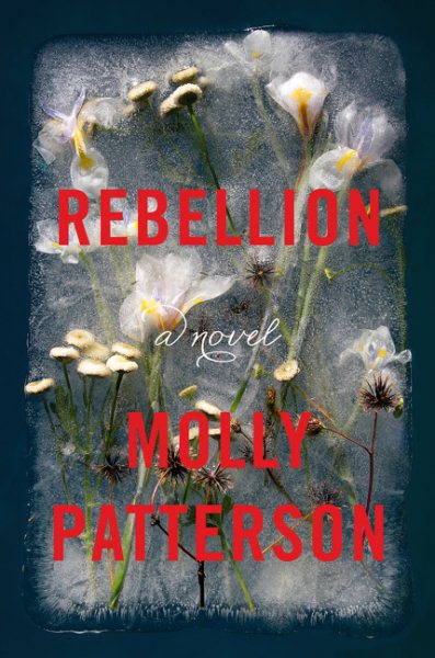 Rebellion: A Novel cover