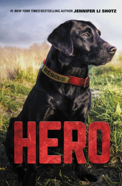 Hero (Hero, 1) cover