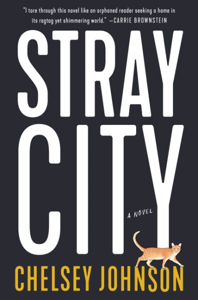 Stray City: A Novel cover