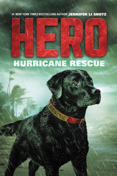 Hurricane Rescue (Hero) cover