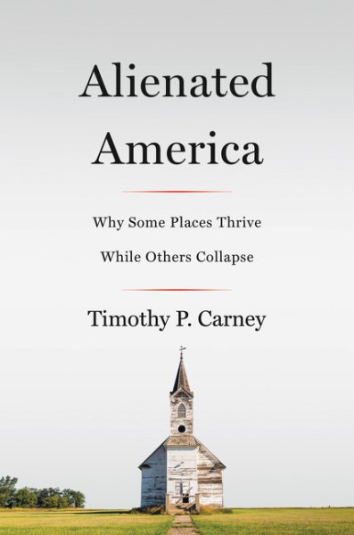 Alienated America: Why Some Places Thrive While Others Collapse cover