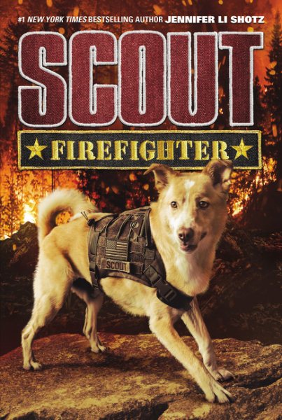 Scout: Firefighter (Scout, 2)