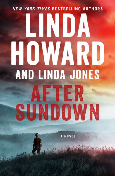 After Sundown: A Novel cover