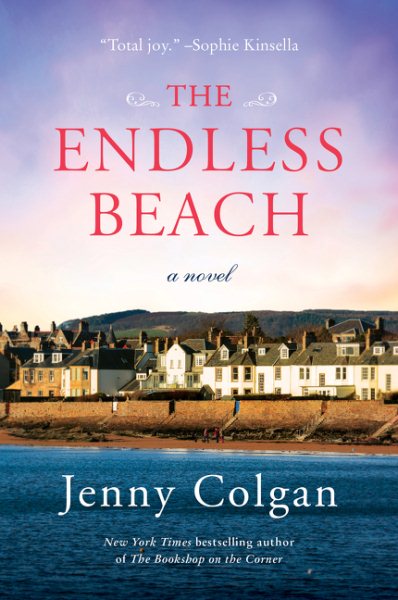 The Endless Beach: A Novel cover