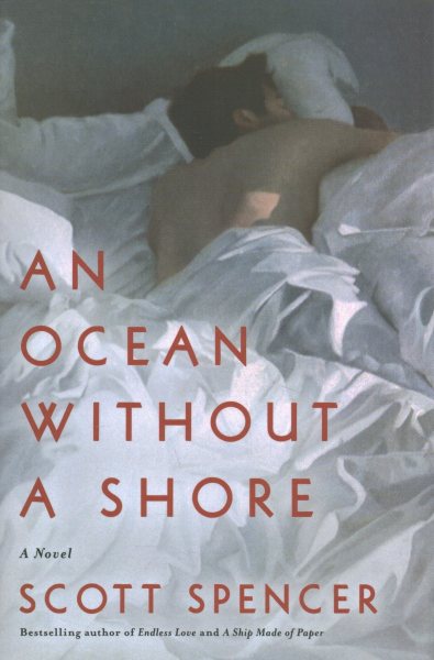 An Ocean Without a Shore: A Novel cover