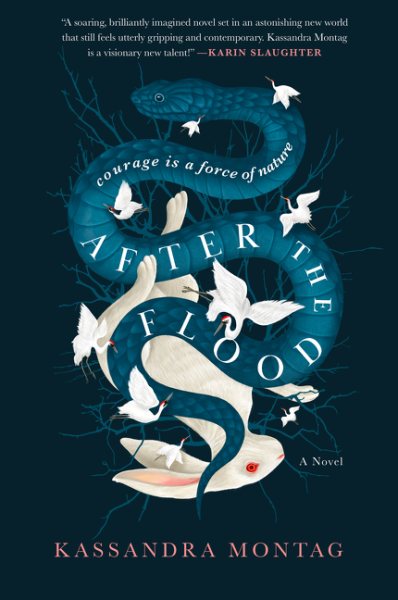 After the Flood: A Novel cover