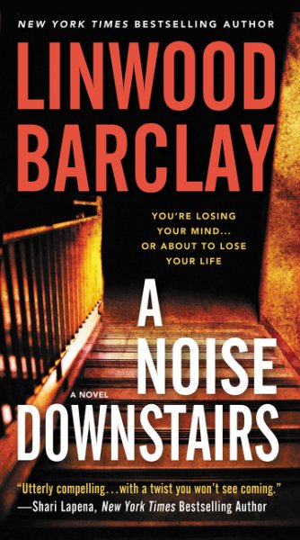 A Noise Downstairs: A Novel cover