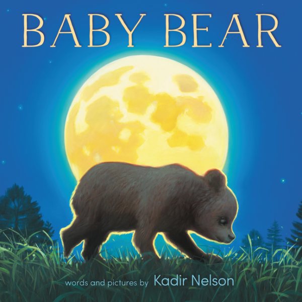 Baby Bear Board Book cover
