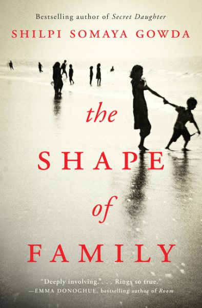 The Shape of Family: A Novel cover