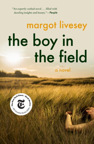 The Boy in the Field: A Novel cover