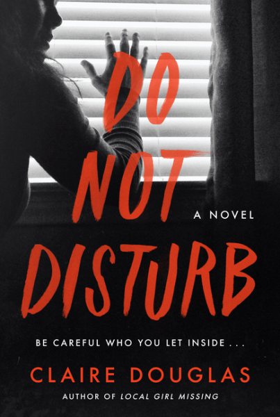 Do Not Disturb: A Novel cover