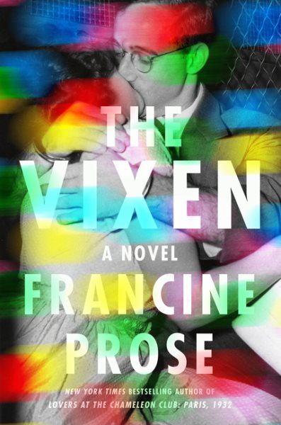 The Vixen: A Novel cover