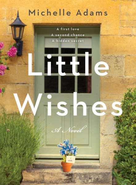 Little Wishes: A Novel cover