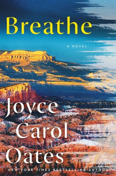Breathe: A Novel cover