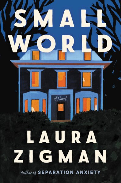 Small World: A Novel cover