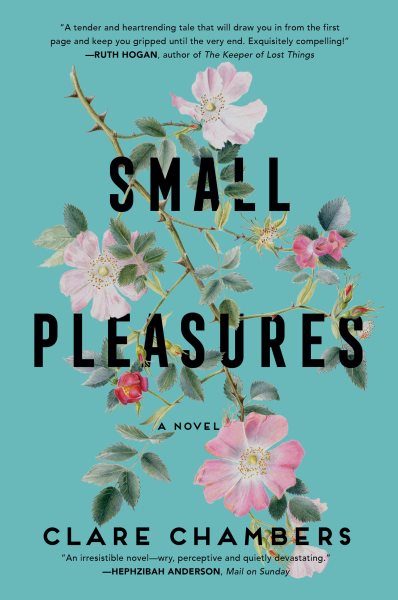Small Pleasures: A Novel cover