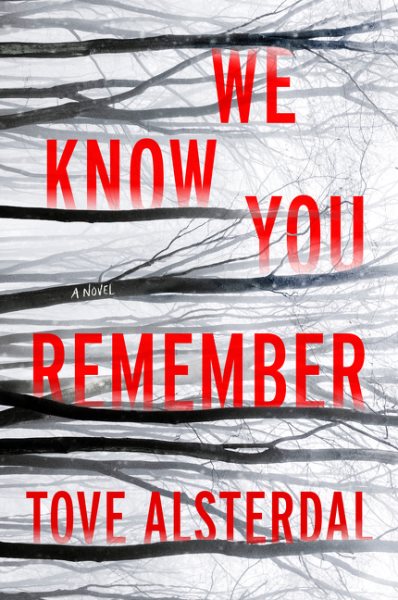 We Know You Remember: A Novel (The High Coast Series, 1) cover