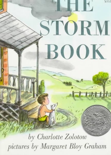 The Storm Book cover