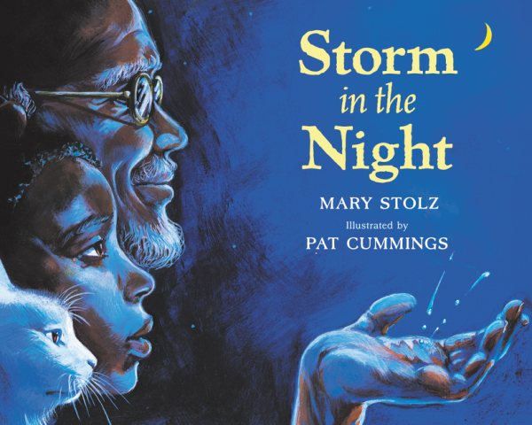 Storm in the Night cover