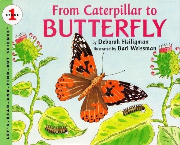 From Caterpillar to Butterfly (Let's-Read-and-Find-Out Science, Stage 1) cover