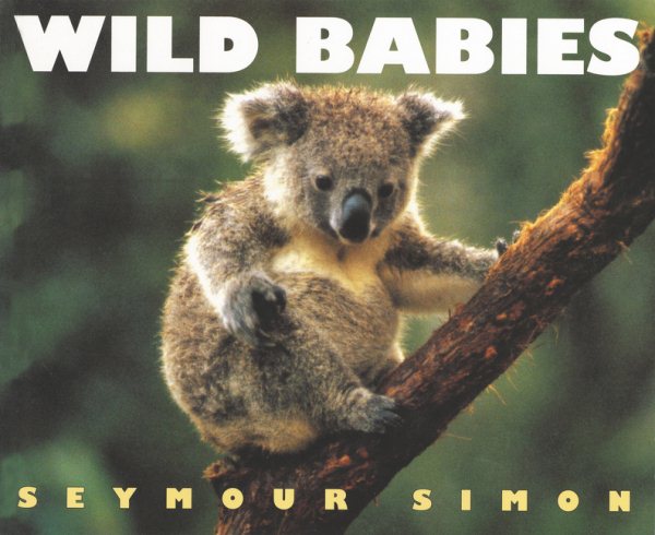 Wild Babies cover