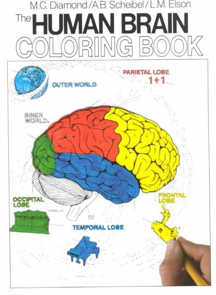 The Human Brain Coloring Book (Coloring Concepts) cover