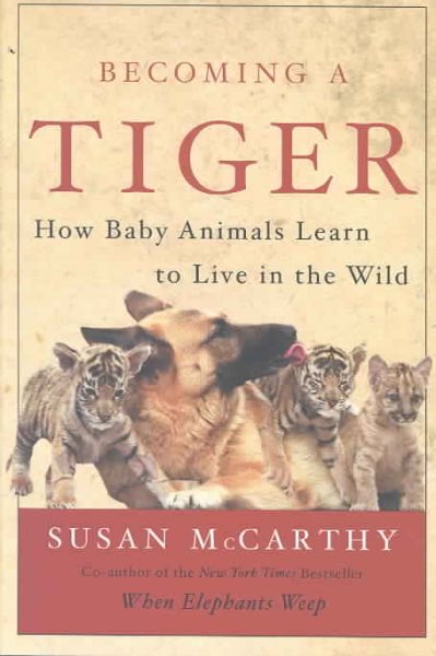 Becoming a Tiger: How Baby Animals Learn to Live in the Wild cover
