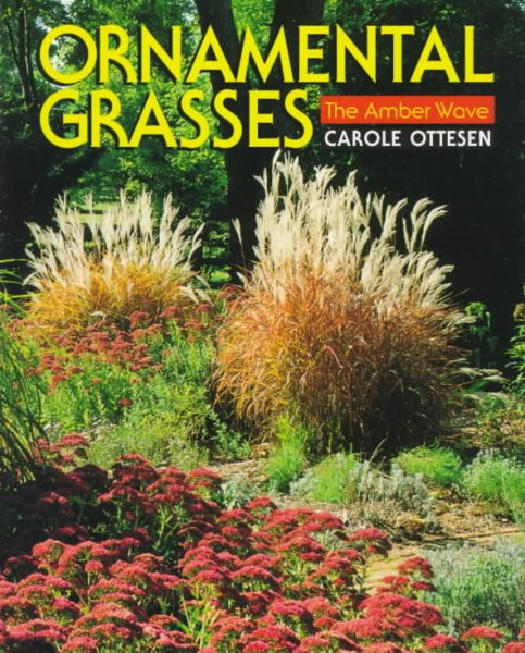 Ornamental Grasses: The Amber Wave