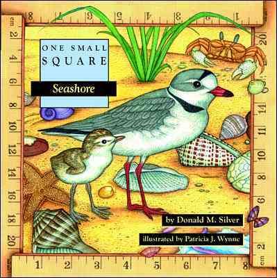 Seashore (One Small Square) cover