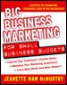 Big Business Marketing For Small Business Budgets