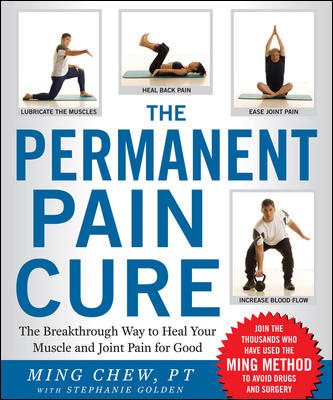 The Permanent Pain Cure cover