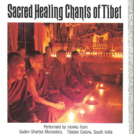 Sacred Healing Chants of Tibet cover