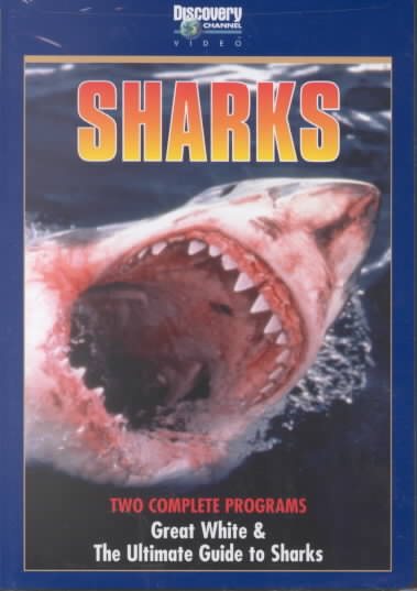 Great White/The Ultimate Guide To Sharks cover