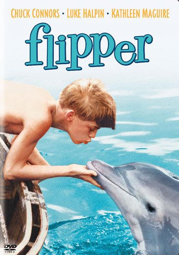 Flipper cover