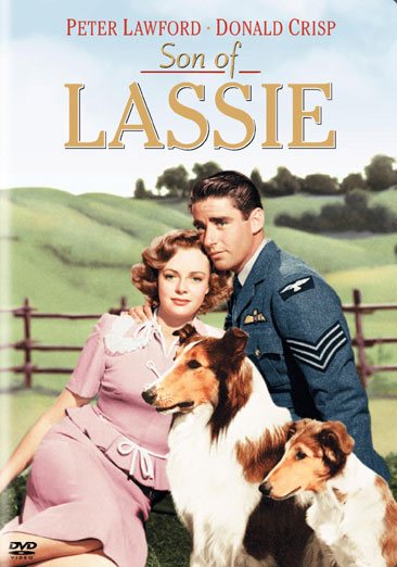Son of Lassie cover