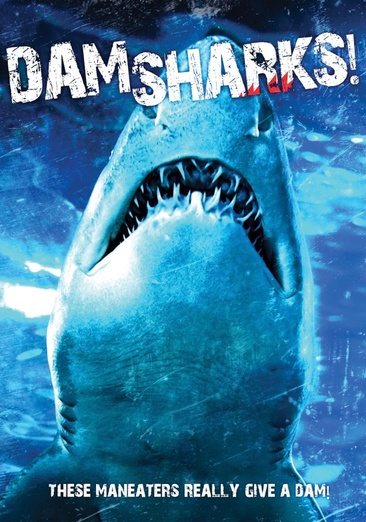 Dam Sharks cover