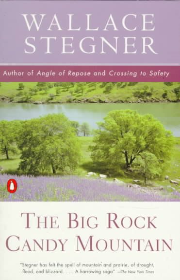 The Big Rock Candy Mountain (Contemporary American Fiction) cover
