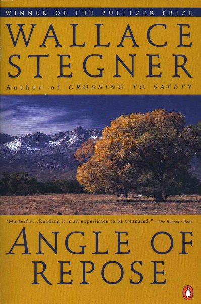 Angle of Repose (Contemporary American Fiction) cover