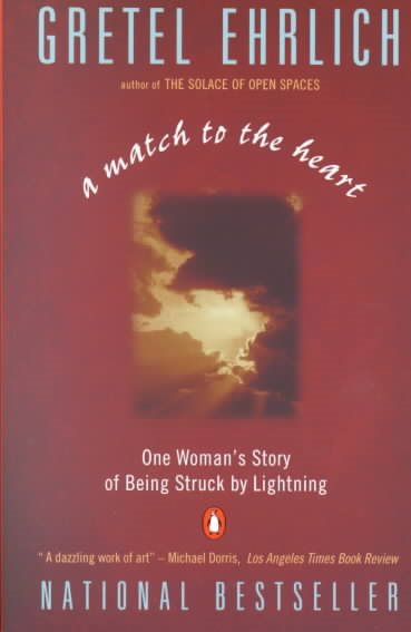 A Match to the Heart: One Woman's Story of Being Struck By Lightning cover