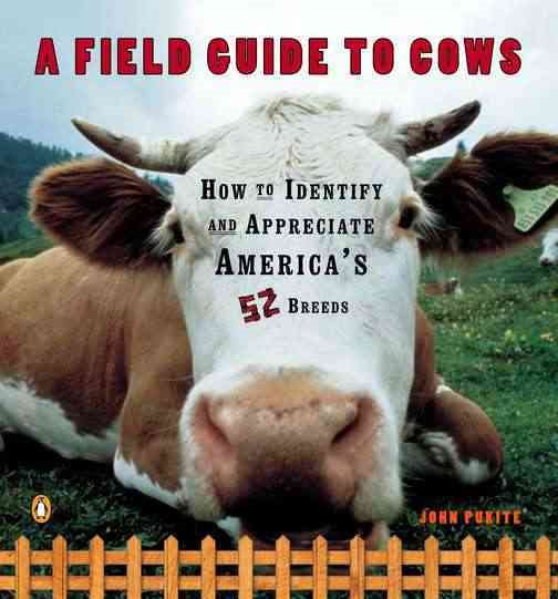 A Field Guide to Cows: How to Identify and Appreciate America's 52 Breeds cover