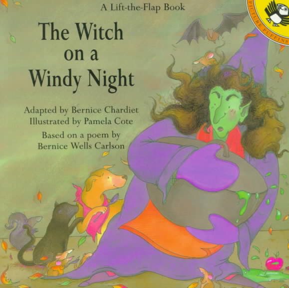 Witch on a Windy Night (Lift-the-flap Books) cover