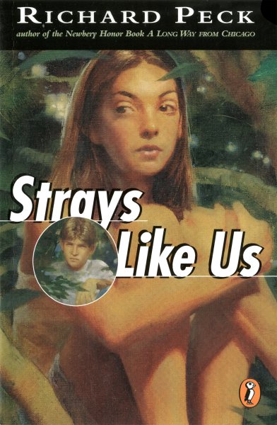 Strays Like Us cover