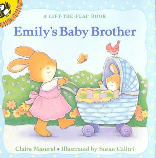 Emily's Baby Brother cover