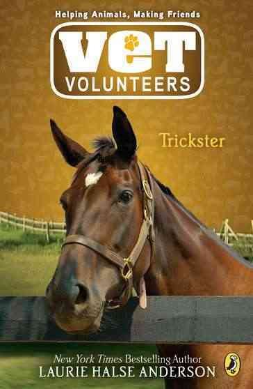Trickster #3 (Vet Volunteers) cover