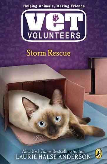 Storm Rescue #6 (Vet Volunteers) cover
