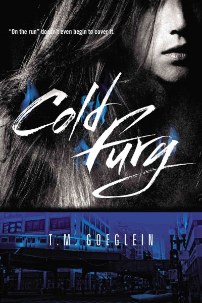 Cold Fury (A Cold Fury Novel) cover