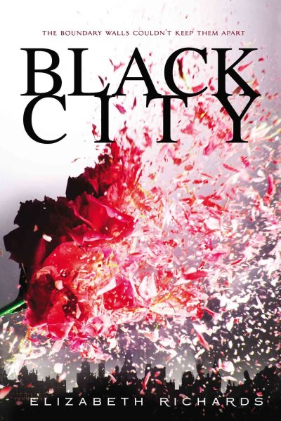 Black City (A Black City Novel) cover