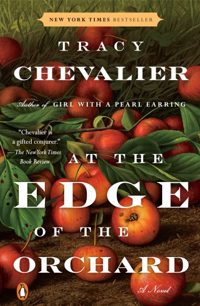 At the Edge of the Orchard: A Novel cover