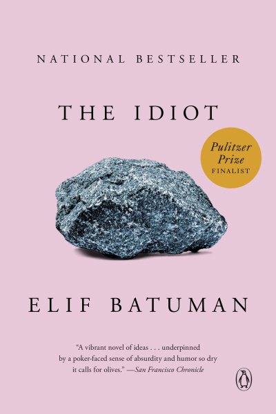 The Idiot: A Novel cover